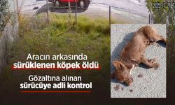 Aracın arkasında sürüklenen köpek öldü; gözaltına alınan sürücüye adli kontrol