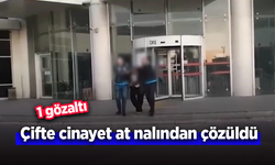 Çifte cinayet at nalından çözüldü: 1 gözaltı.