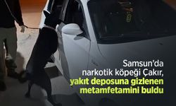 Samsun’da narkotik köpeği Çakır, yakıt deposuna gizlenen metamfetamini buldu