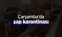 Çarşamba’da şap karantinası