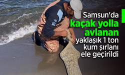Samsun'da, kaçak yolla avlanan yaklaşık 1 ton kum şırlanı ele geçirildi.