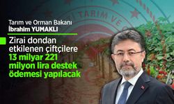 Zirai dondan etkilenen çiftçilere 13 milyar 221 milyon lira destek ödemesi yapılacak.