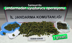 Samsun'da jandarmadan uyuşturucu operasyonu: 1 gözaltı