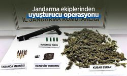 Jandarma ekiplerinden uyuşturucu operasyonu