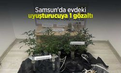 Samsun'da evdeki uyuşturucuya 1 gözaltı