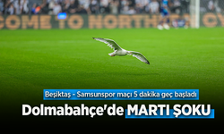 Dolmabahçe'de MARTI ŞOKU