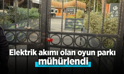 Elektrik akımı olan oyun parkı mühürlendi.