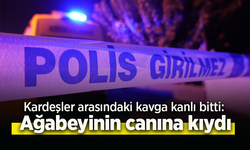 Kardeşler arasındaki kavga kanlı bitti: Ağabeyinin canına kıydı.