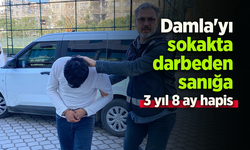 Damla'yı sokakta darbeden sanığa 3 yıl 8 ay hapis
