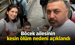 Böcek ailesinin kesin ölüm nedeni açıklandı