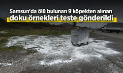 Samsun'da ölü bulunan 9 köpekten alınan doku örnekleri teste gönderildi