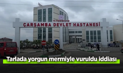 Tarlada yorgun mermiyle vuruldu iddiası