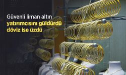 Güvenli liman altın yatırımcısını güldürdü, döviz ise üzdü