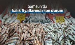 Samsun'da balık fiyatlarında son durum