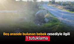 Boş arazide bulunan bebek cesediyle ilgili 1 tutuklama