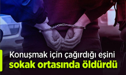 Konuşmak için çağırdığı eşini sokak ortasında öldürdü