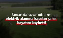 Samsun'da hayvan otlatırken elektrik akımına kapılan şahıs hayatını kaybetti