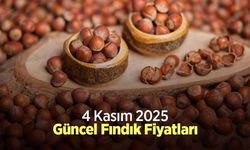 4 Kasım 2025 Güncel Fındık Fiyatları