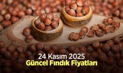 24 Kasım 2025 Güncel Fındık Fiyatları