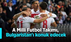 A Milli Futbol Takımı, Bulgaristan'ı konuk edecek