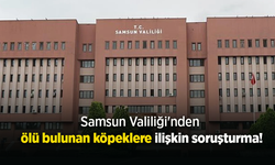 Samsun Valiliği'nden ölü bulunan köpeklere ilişkin soruşturma!