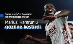 Marius, Hamrun'u gözüne kestirdi