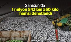 Samsun’da 1 milyon 843 bin 550 kilo hamsi denetlendi