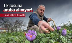 1 kilosuna araba alınıyor! Hasat çiftçiyi ihya etti