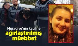 Muradiye'nin katiline ağırlaştırılmış müebbet