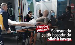 Samsun'da çeltik hasadında silahlı kavga: 2 kardeş yaralandı