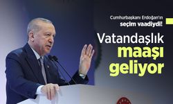 Cumhurbaşkanı Erdoğan'ın seçim vaadiydi! Vatandaşlık maaşı geliyor