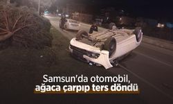 Samsun'da otomobil, ağaca çarpıp ters döndü; 1 yaralı