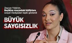 Zeycan Yıldırım: BÜYÜK SAYGISIZLIK