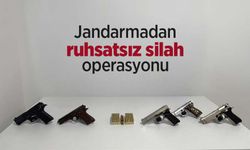 Jandarmadan ruhsatsız silah operasyonu