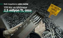 Balık tezgahlarına yakın markaj: 109 kişi ve işletmeye 2,5 milyon TL ceza