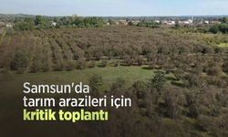 Samsun'da tarım arazileri için kritik toplantı