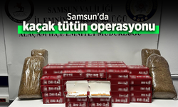 Samsun'da kaçak tütün operasyonu.