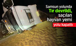 Samsun yoluna tır devrildi, saçılan hayvan yemi yolu kapattı