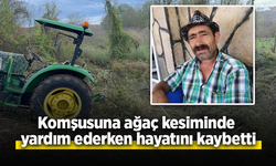 Komşusuna ağaç kesiminde yardım ederken hayatını kaybetti