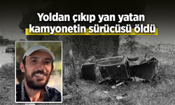 Yoldan çıkıp yan yatan kamyonetin sürücüsü öldü
