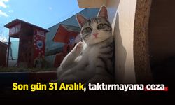 Son gün 31 Aralık, taktırmayana ceza