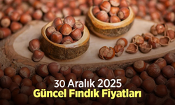 30 Aralık 2025 Güncel Fındık Fiyatları