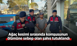 Ağaç kesimi sırasında komşusunun ölümüne sebep olan şahıs tutuklandı