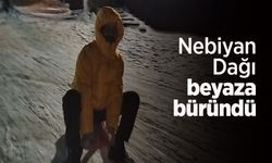 Nebiyan Dağı beyaza büründü