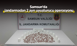 Samsun’da jandarmadan 2 ayrı uyuşturucu operasyonu