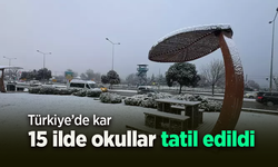Türkiye'de kar: 15 ilde okullar tatil edildi