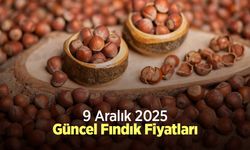 9 Aralık 2025 Güncel Fındık Fiyatları