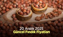 20 Aralık 2025 Güncel Fındık Fiyatları
