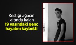 Kestiği ağacın altında kalan 19 yaşındaki genç hayatını kaybetti