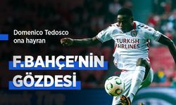 Domenico Tedosco ona hayran, F.BAHÇE'NİN GÖZDESİ